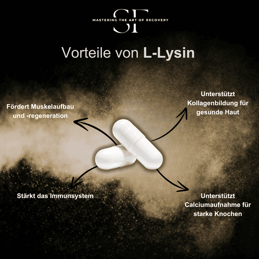 SidFit Premium L-Lysin Kapseln