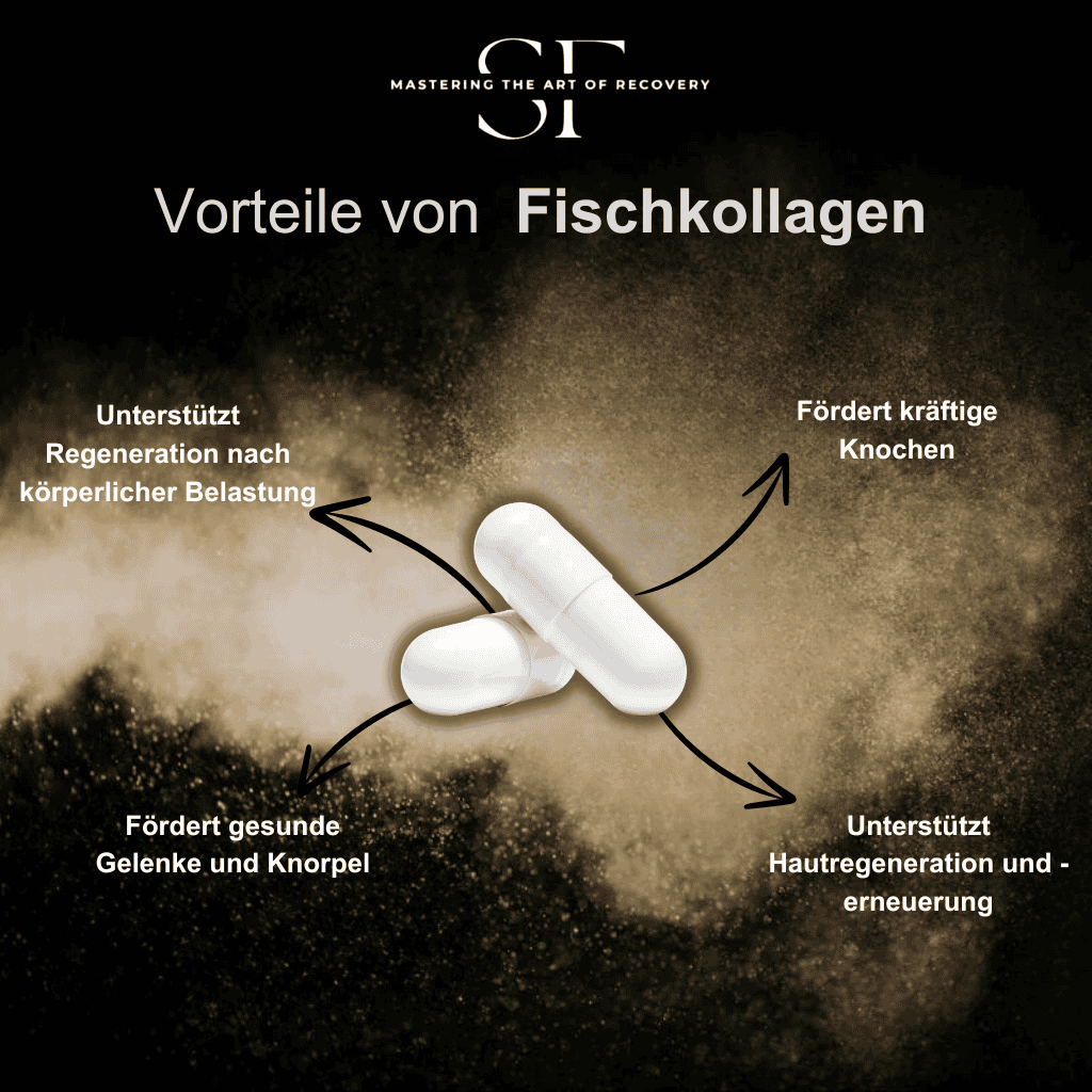 SidFit Premium Fischkollagen Kapseln